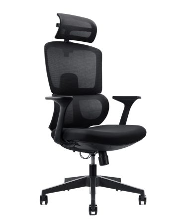 High Back Office Chair With Head Rest