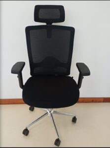 Ergonomic mesh chair