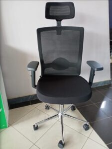 Ergonomic mesh chair