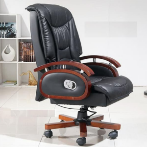 Leather director's chair