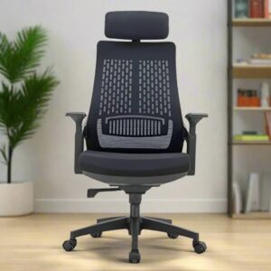 Aurora ergonomic chair