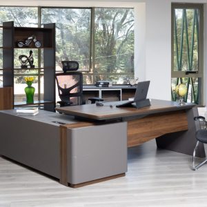 Director's Office Desk