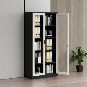 Full glass lockable filing cabinet