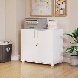 2-door locking executive wooden cupboard