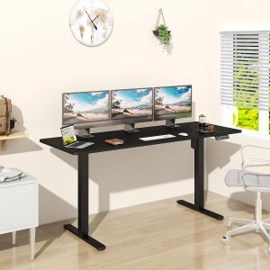 Height Adjustable Electric Standing Desk