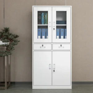 2-Door half-glass office cabinet