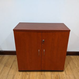 Executive office storage cupboard