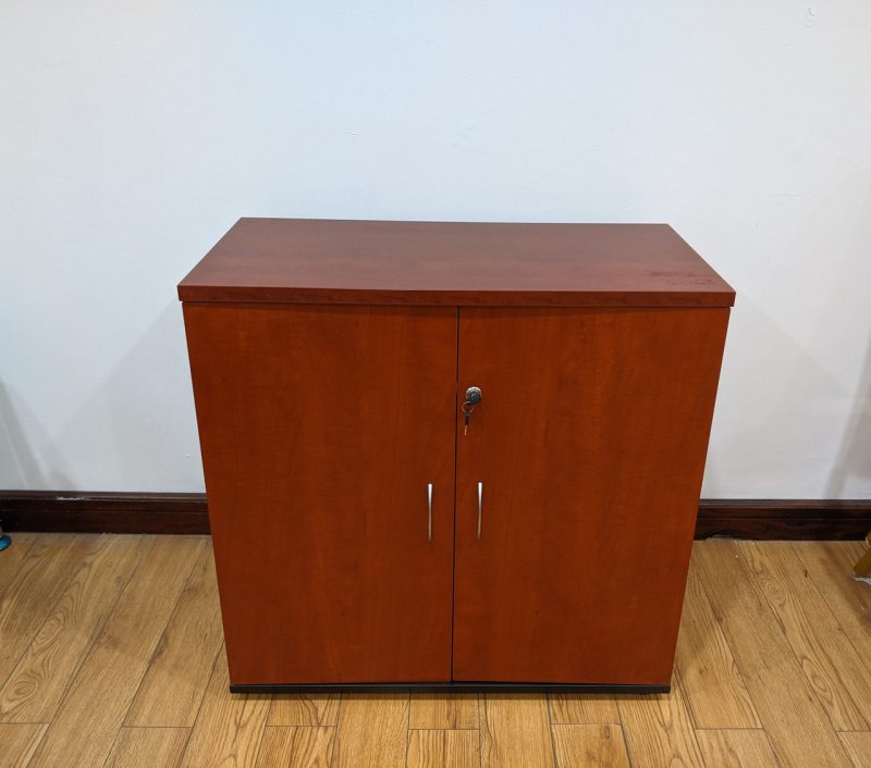 Executive office storage cupboard