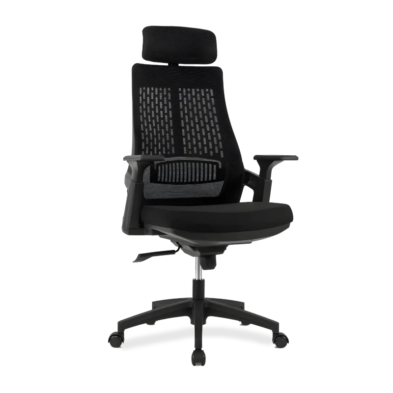 Karnak ergonomic office chair