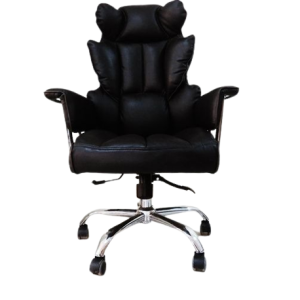Director's office chair